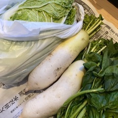 野菜！たっぷりの画像