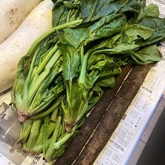 野菜！たっぷりの画像