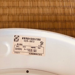 電灯(電球無)の画像