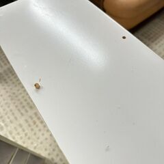 【訳アリ特価品】スヌーピー 収納棚 ホワイト レトロ キャラクター 食器棚の画像