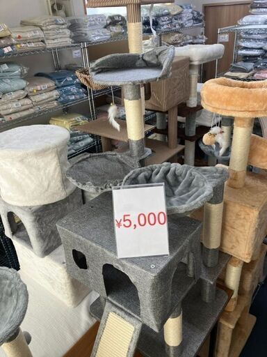 【特価セール！】キャットタワーがたったの¥5,000！