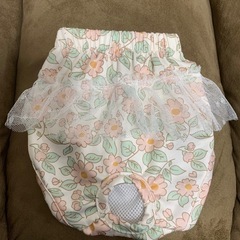 犬用パンツの画像