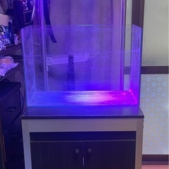 60センチ水槽　高級水槽台の画像