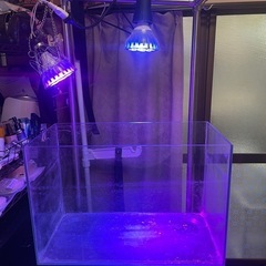 60センチ水槽　高級水槽台の画像