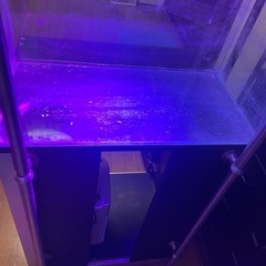 60センチ水槽　高級水槽台の画像