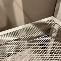 IKEA 棚　スチールラックの画像