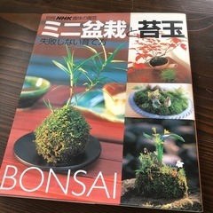 【本日まで】ミニ盆栽本の画像