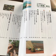 【本日まで】ミニ盆栽本の画像