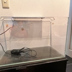ADA60水槽セット