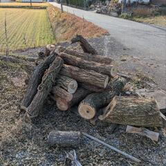　受付停止中　薪　薪ストーブやキャンプに　広葉樹（クヌギ、ナラ、カシ、サクラ、クスノキなど）ヒノキはあります　40円（みっくす）　原木35円　の画像