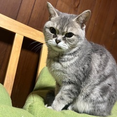 ﾌﾞﾙｰﾀﾋﾞｰのｱﾒｼｮ🍭