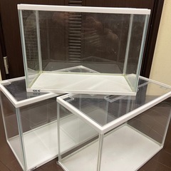 GEX水槽　3個まとめて