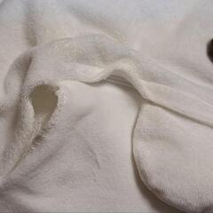 【決まりました】クッションの画像