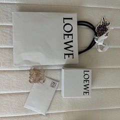 LOEWE ブローチ