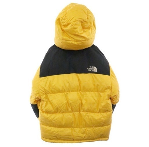 THE NORTH FACEゴア デイロフト バルトロ ダウンジャケットsize M