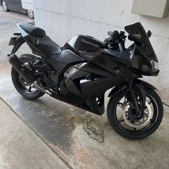 ニンジャ250R