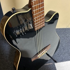 Godin A6エレアコ