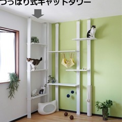 キャットウォークの設置を手伝います