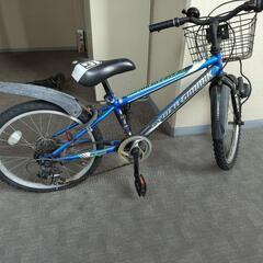 低学年　ジュニア　マウンテンバイク　自転車