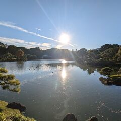 年末年始 都内庭園をめぐるので、一緒に行ってもいいという方！
