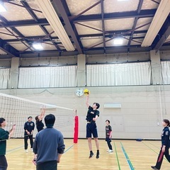 3/23‼️バレーボール仲間募集中🏐✨