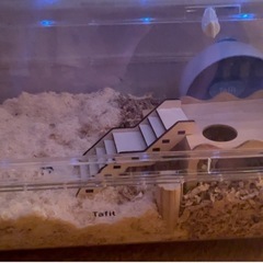 ハムスターケージセット🐹　 
