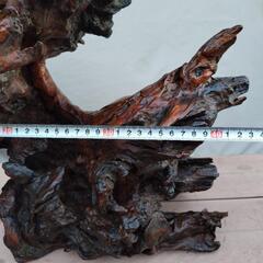 木の根　置物オブジェ　7.4キロの画像