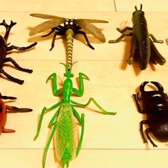 昆虫　
小物おもちゃの画像