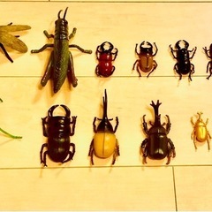昆虫　
小物おもちゃの画像