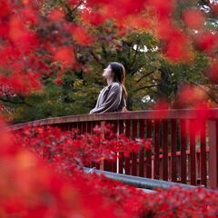 SNSプロフィール写真撮影【出張カメラマン】の画像