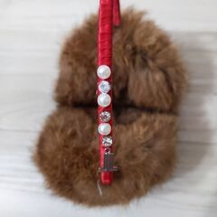 耳あて　ランバンの画像