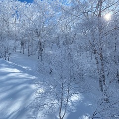 12月28日（土曜日）　岩原スキー場（吹雪くようなら　ノルン）
