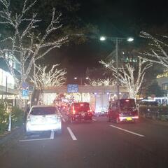 レンタル夜の案内人　下見　夜景　イルミネーション - 海老名市