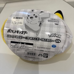 ピカチュウの帽子？
の画像