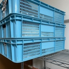 レディースまとめ、プラケース、ステンレスラック、ダンボール