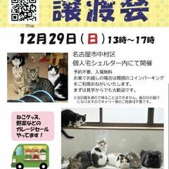 12/29(日) 猫の譲渡会&ハンドメイド品販売 名古屋市中村区