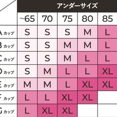 新品　ロザブルー　ナイトブラ　Sサイズの画像