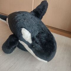 シャチ　ぬいぐるみ　鴨川シーワールドの画像
