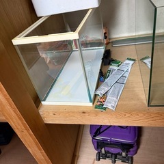 水槽の画像