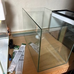 水槽の画像