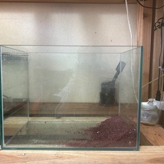 水槽の画像