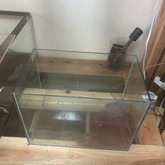 水槽の画像