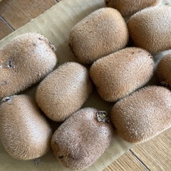 キウイ10個② ジャム用にいかがでしょうの画像