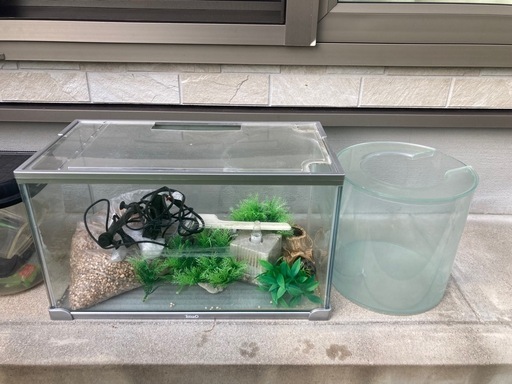 熱帯魚用飼育セット　昆虫飼育セットおまけ付き