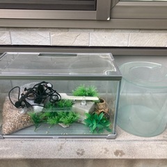 熱帯魚用飼育セット　昆虫飼育セットおまけ付き