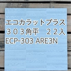 エコカラット 303角平　２２枚入り