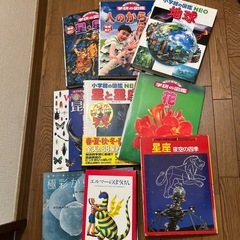図鑑、絵本