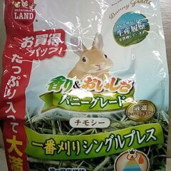 ☆ミニマルランド バニーグレードチモシー 1kg【未開封】