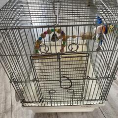 インゴ、文鳥用ケージ、おもちゃ、餌