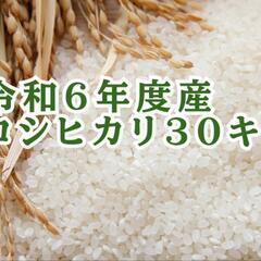 令和6年度産　お米玄米30キロ　2袋限定